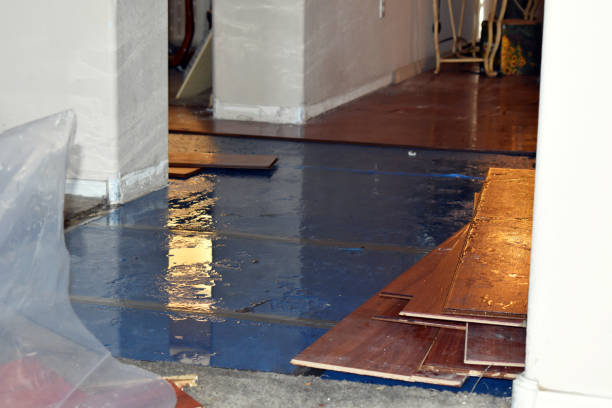Professional Water Damage Restoration technician working in Marthasville, MO